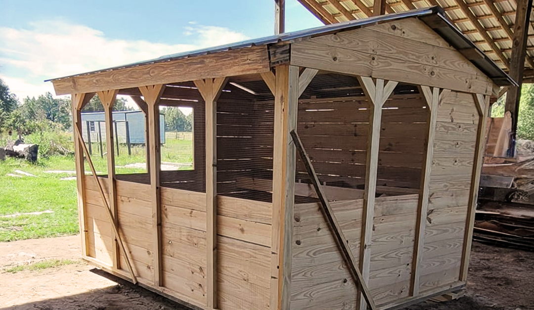 Custom Chicken Coop