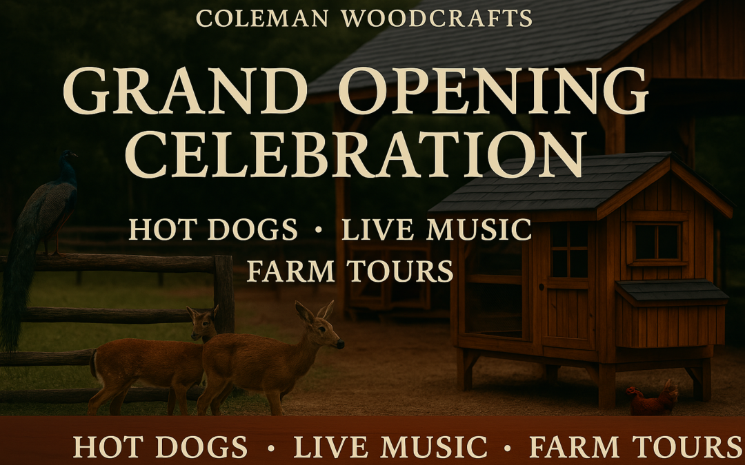 Grand Opening Celebration